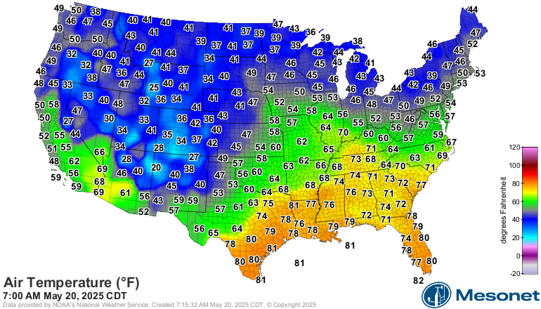 National Temperature Map from MesoNet